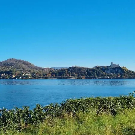 View * Arona